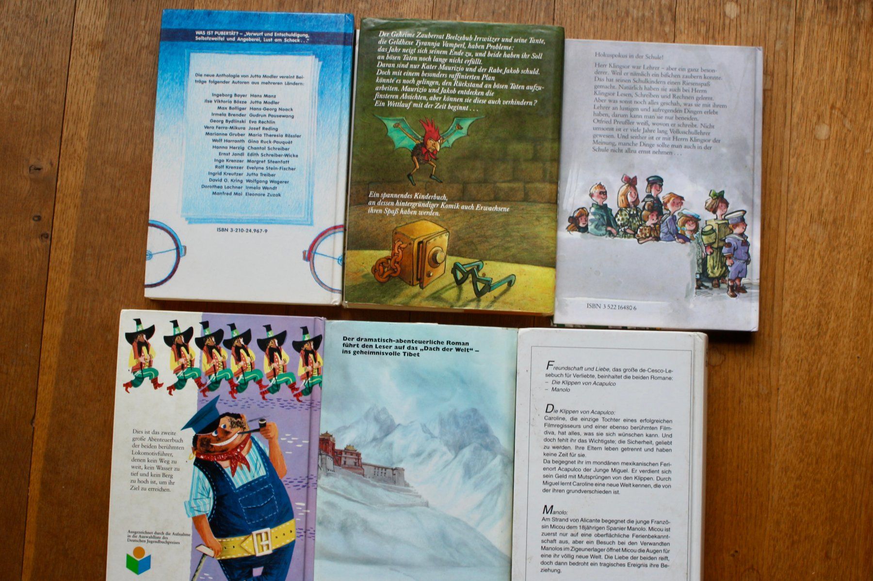 Libri: Jugendbuch Klassiker – Usato da Altstätten SG venduto da alpalfa 1