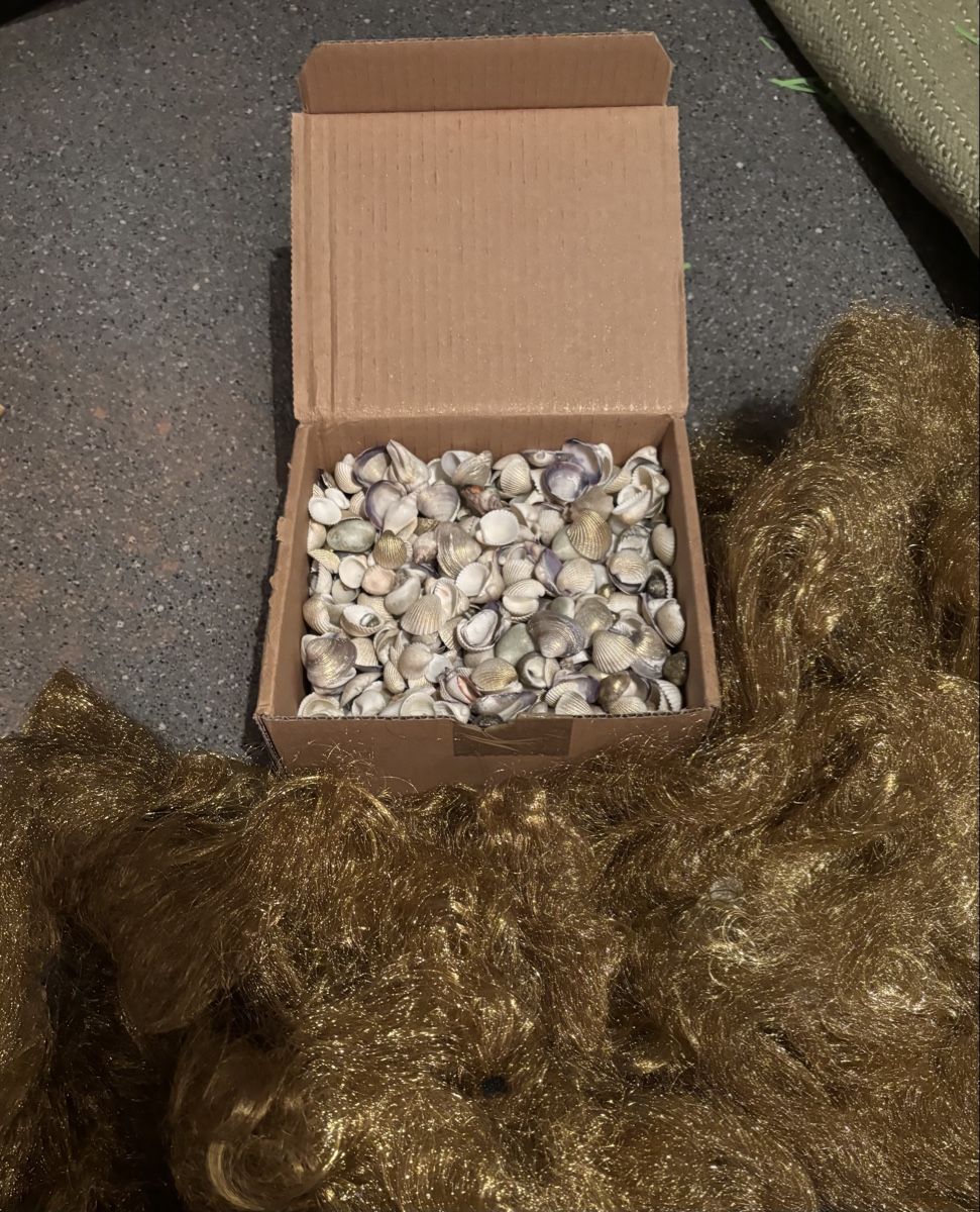Tutte le decorazioni: Muscheln im Karton, zum Dekorieren, Basteln oder Sammeln – Usato da Urdorf venduto da leoale