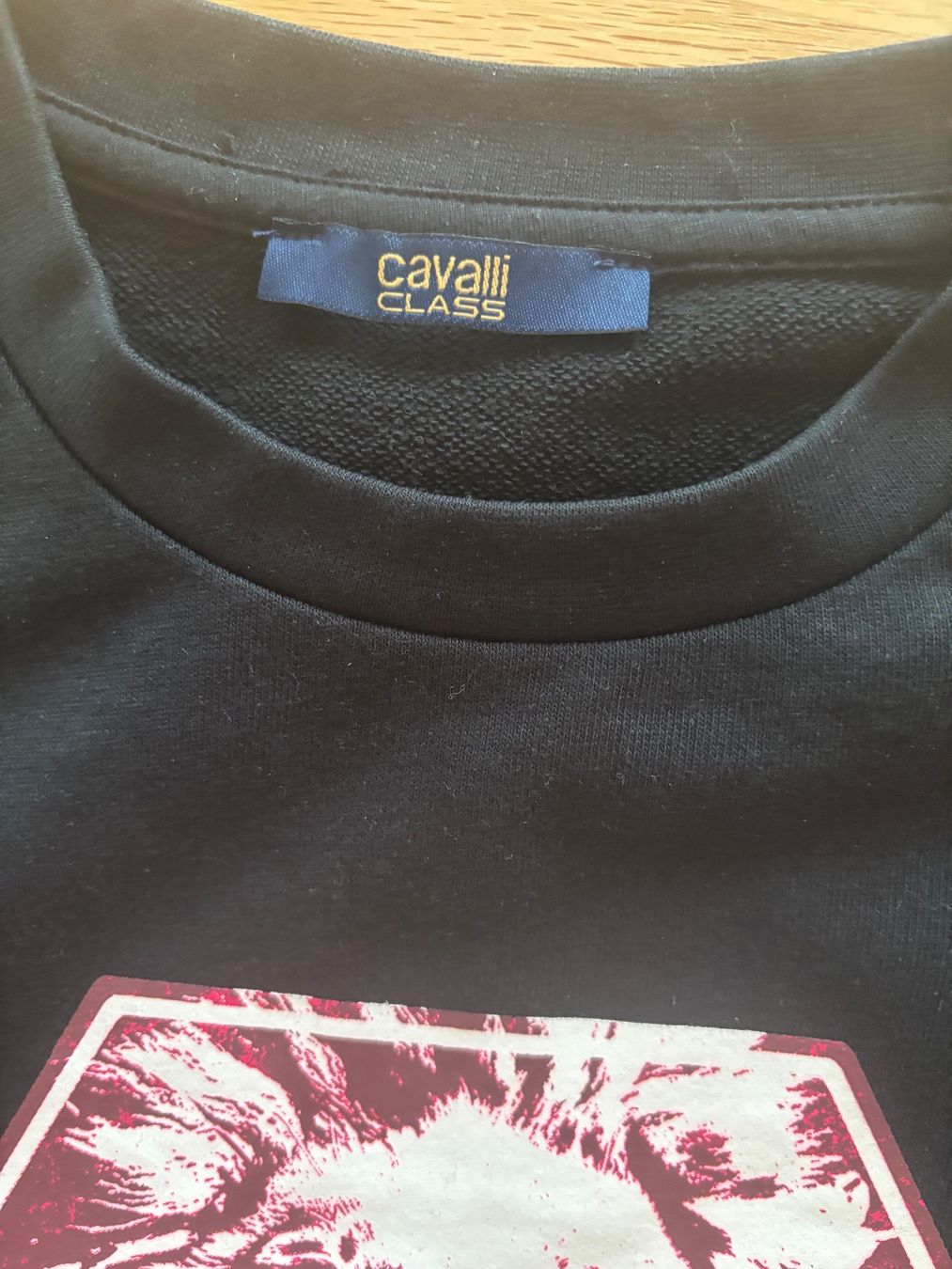 Roberto Cavalli Pullover & Sweatshirts: Cavalli Class Pullover schwarz mit Löwenprint Grösse S – Neu (gemäss Beschreibung) aus Wohlenschwil von F.F. 1