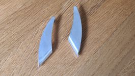 Grosse Silberohrstecker