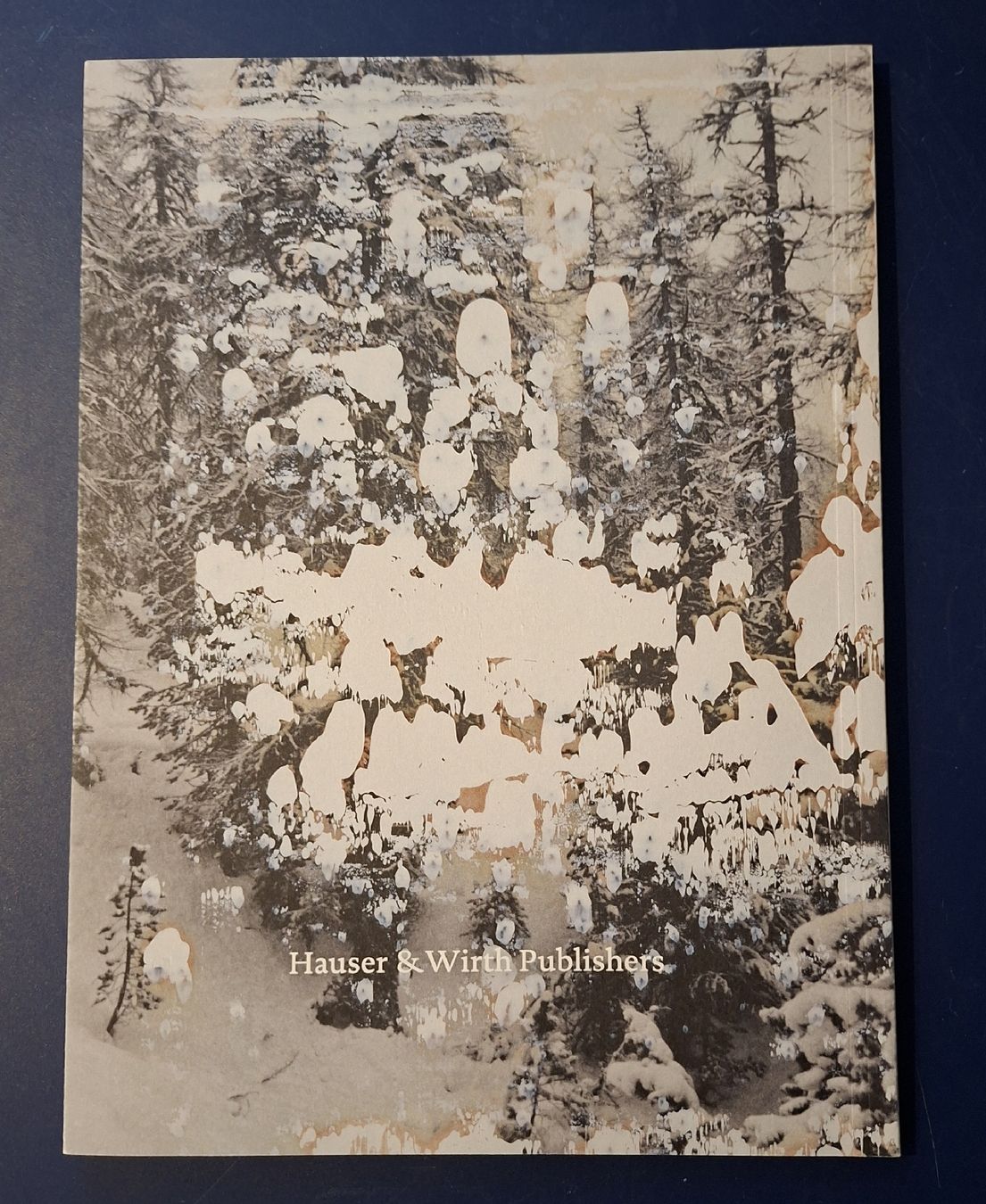 Libri: Gerhard Richter Engadin Buch mit Text Dieter Schwarz – Nuovo (secondo la descrizione) da Niederglatt ZH venduto da Siegfried67 1
