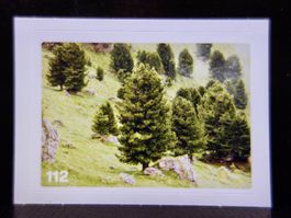 MIGROS MANIA Nature Detectives Nr. 112
