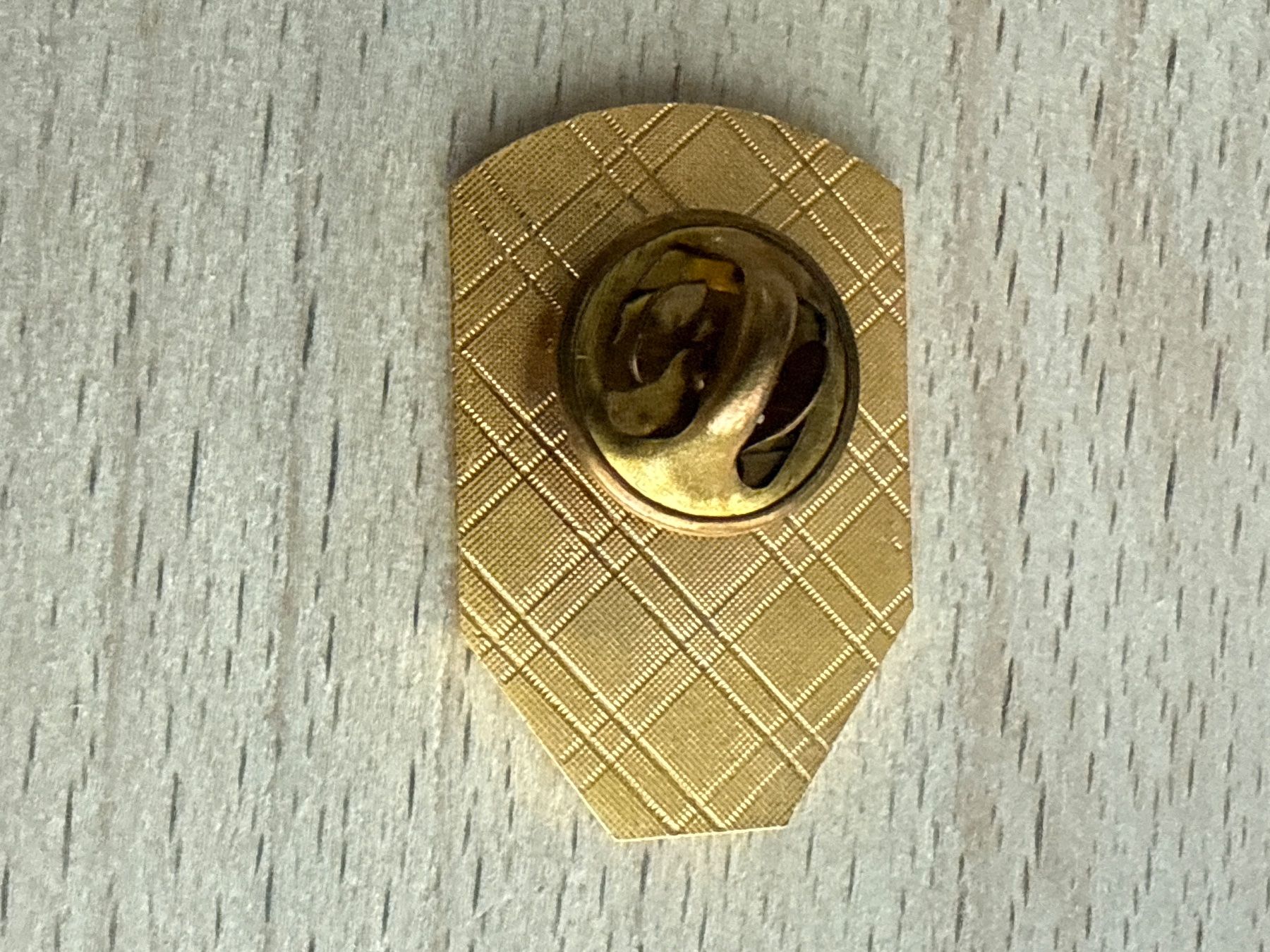 Placchette & Badge: Pin Fasnachtsgesellschaft Thalwil – Usato da Glattbrugg venduto da Schweigmatt 1