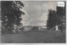 Restaurant de la Charriere-Chaumont s. Neuchatel - animee