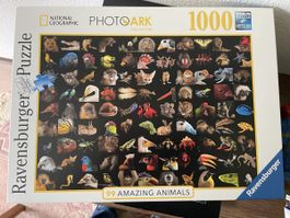 Ravensburger Puzzle 1000er