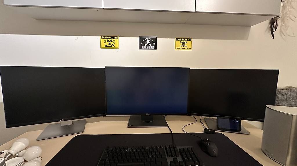 Dell Monitor: 3 monitor DELL – Usato da Canobbio venduto da nb0003