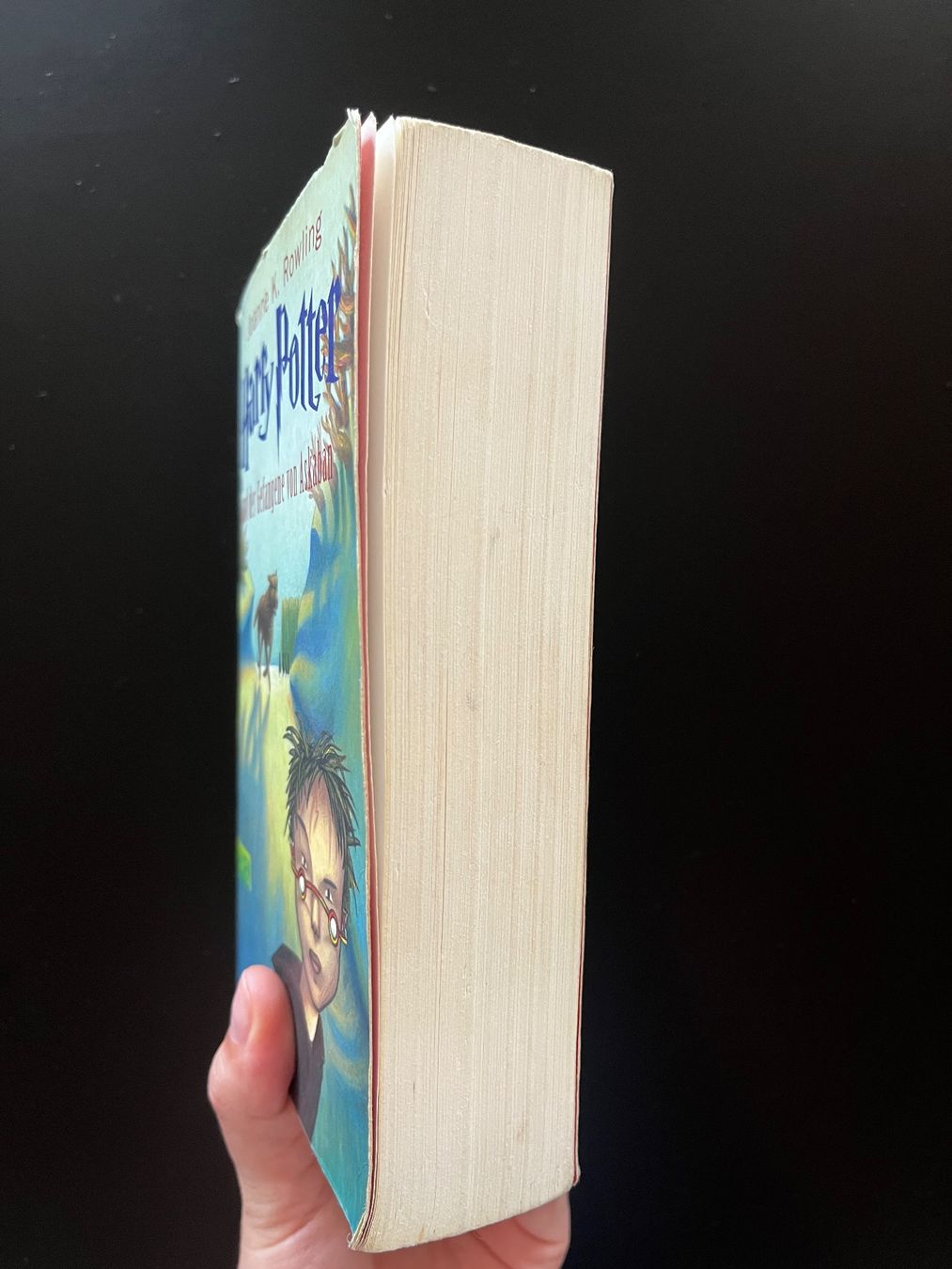 Bücher: Harry Potter und der Gefangene von Askaban – Gebraucht aus Selzach von diana_127 1