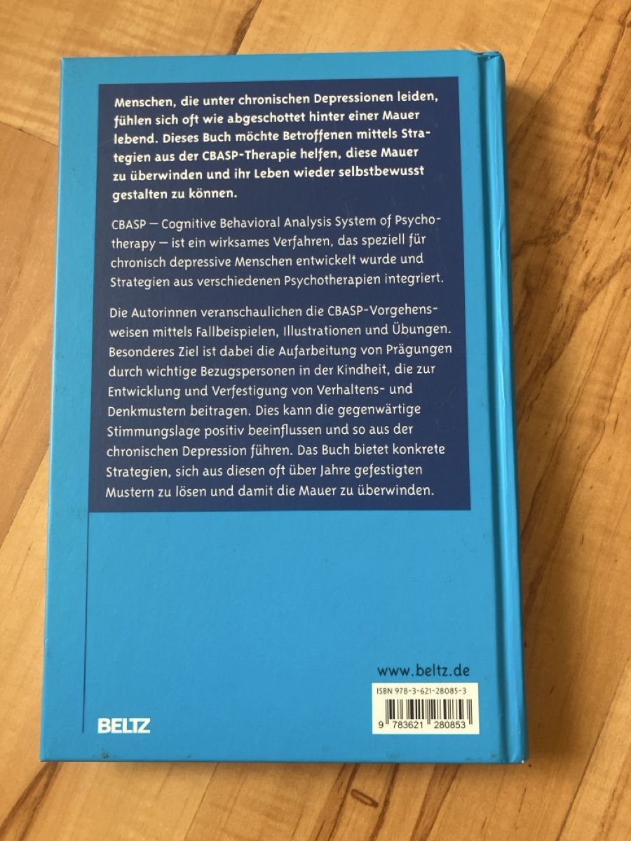 Libri: Buch Die Mauer überwinden – Usato da Windisch venduto da Sumpfrose 1