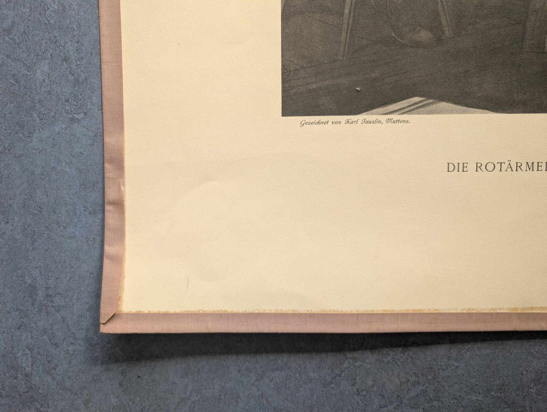 Foto & Immagini: Schulwandbild - Rotärmelverschwörung – Usato da Luzern venduto da JenKu 4
