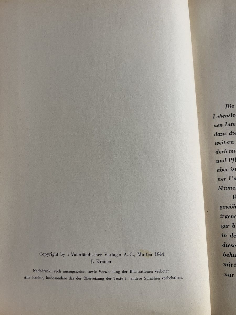 Libri: Bücher Gesundheit – Usato da Niederrohrdorf venduto da beniledergerber 4
