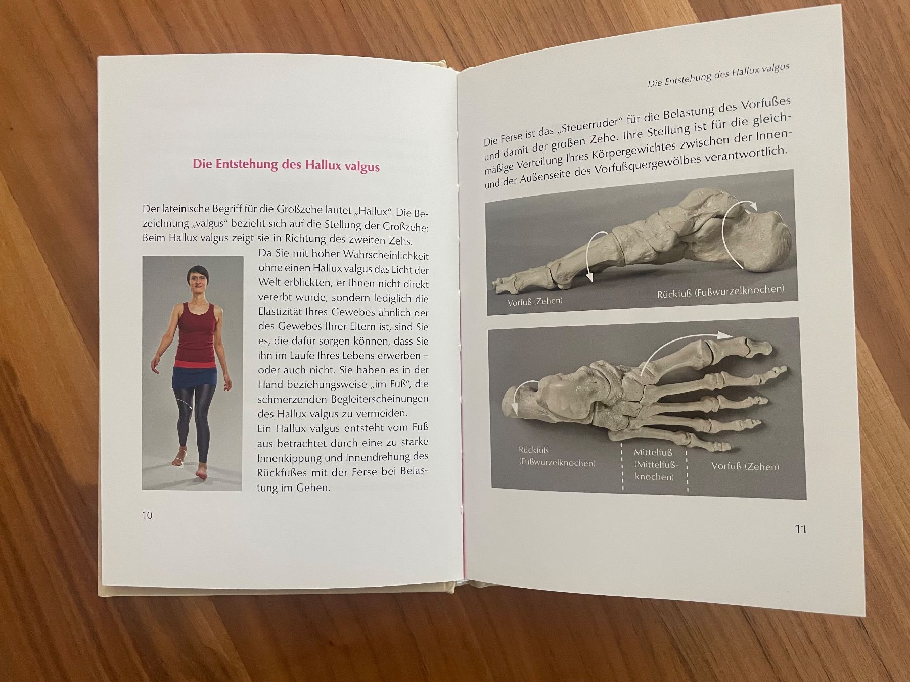 Libri: Hallux valgus von Thomas Rogall – Usato da Bourguillon venduto da gartenwohnen 2