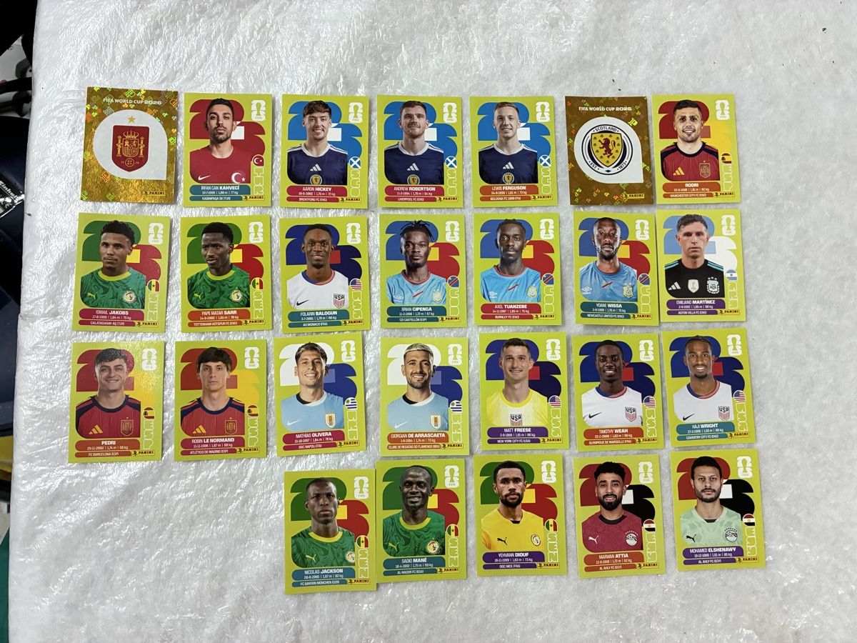 Panini Carte collezionabili: Panini WM 2024 Sammelbilder – Usato da Emmen venduto da paesu6