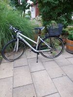 Damen Velo Scheller Speed Drive weiss mit Korb