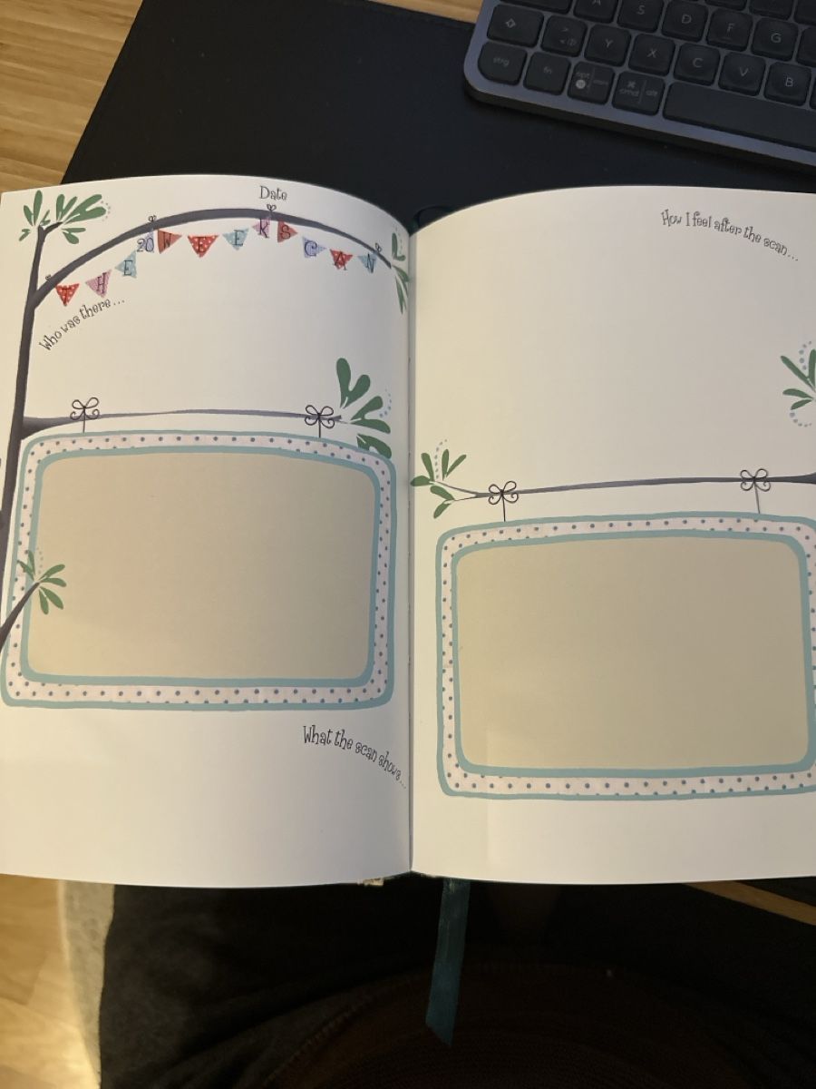 Libri: Pregnancy Journal English NEW – Nuovo (secondo la descrizione) da Staufen venduto da nad_7jgp 1