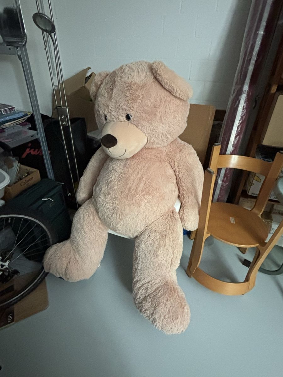 Giocattoli: Grosser Teddybär – Usato da Oberrüti venduto da chi_68h7