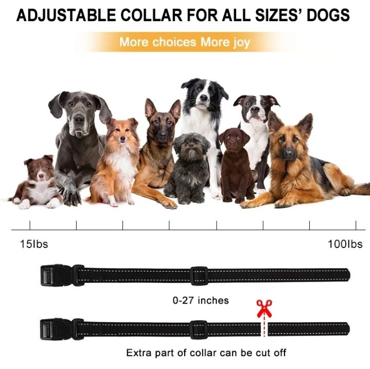 Nastri decorativi: Hundehalsband - Trainigsystem – Nuovo e nell'imballaggio originale da Zürich venduto da jme_zc89 4