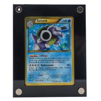 Tortank (PLS 137) - Pokémon TCG - BW - 🇫🇷