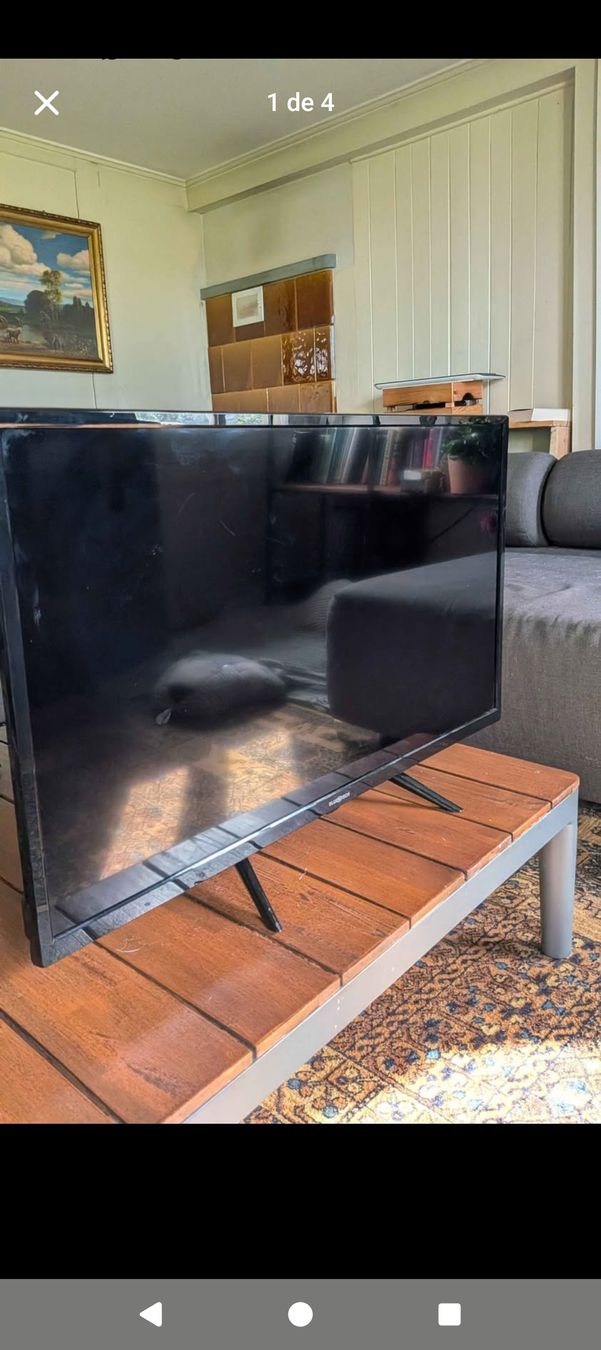 Televisori: 32-Zoll-TV Bluetech – Usato da Root venduto da the_yh7l
