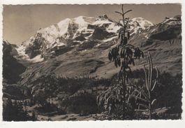 Ansichtskarte Kiental,Gorneren Blick auf Bundalp Blüemlisalp