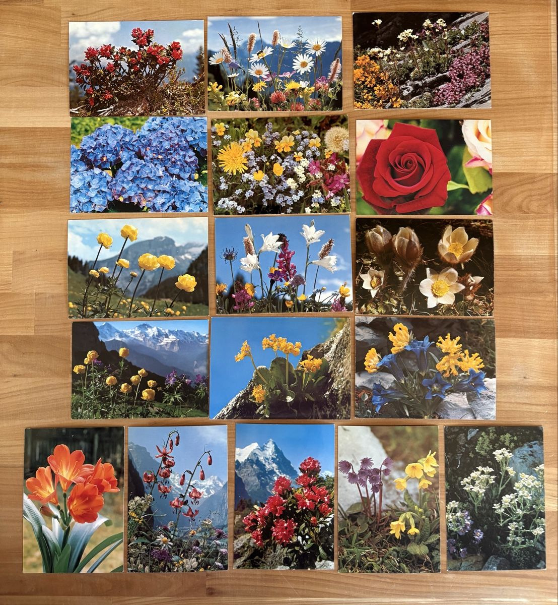 Ansichtskarten: AK mit Blumen Motiv – Gebraucht aus Rümlang von Kartenpost1
