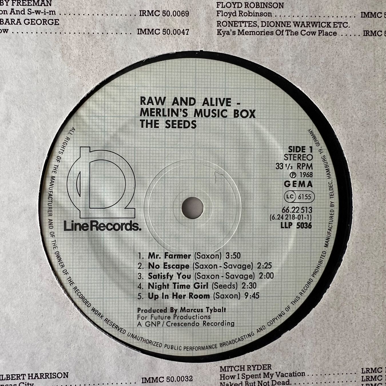 Dischi in vinile: Seeds - Raw & Alive / D-Press. 1981 - Very nice Copy – Usato da Gais venduto da soundcave57 3