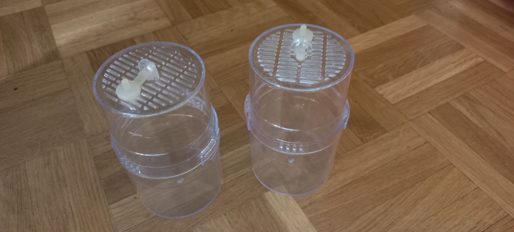 Terrarium: 2x mini terrarium  – Gebraucht aus gland von Lio_0o
