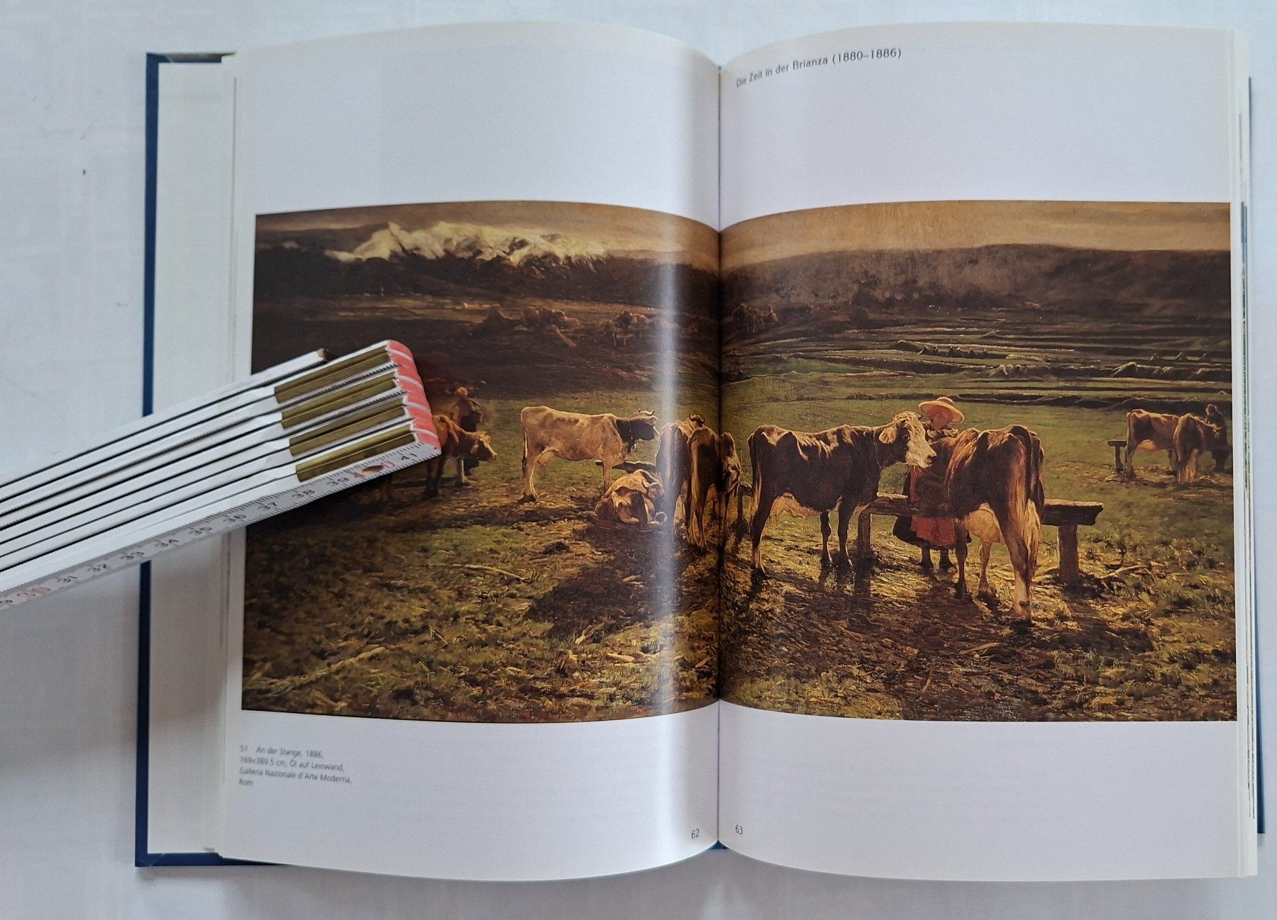 Livres: Segantini: Ein Leben in Bildern - Kunstbuch Schweiz – D'occasion à Opfikon par Diversamente 5