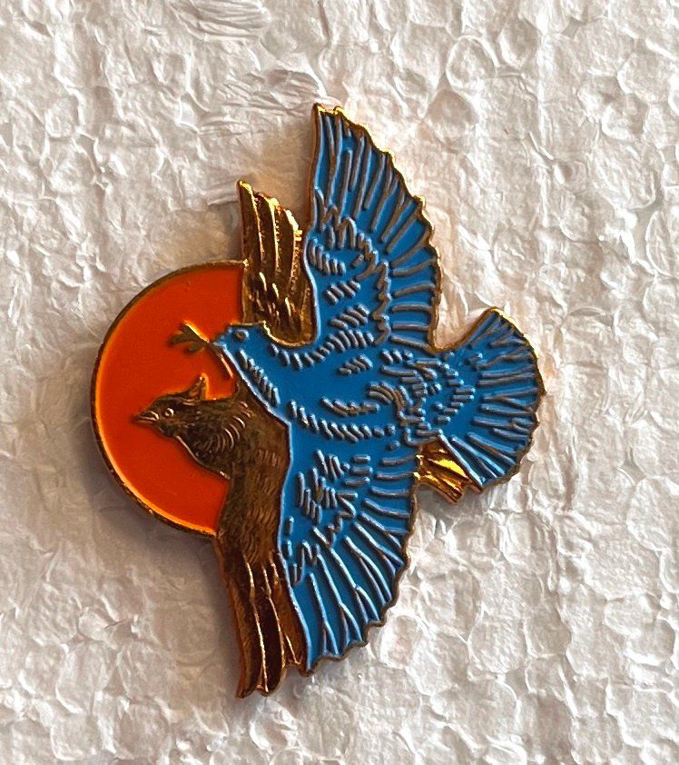 Swiss Placchette & Badge: Pin Simone Erni - FRIEDEN AUF ERDEN – Usato da Obernau venduto da Wgnom