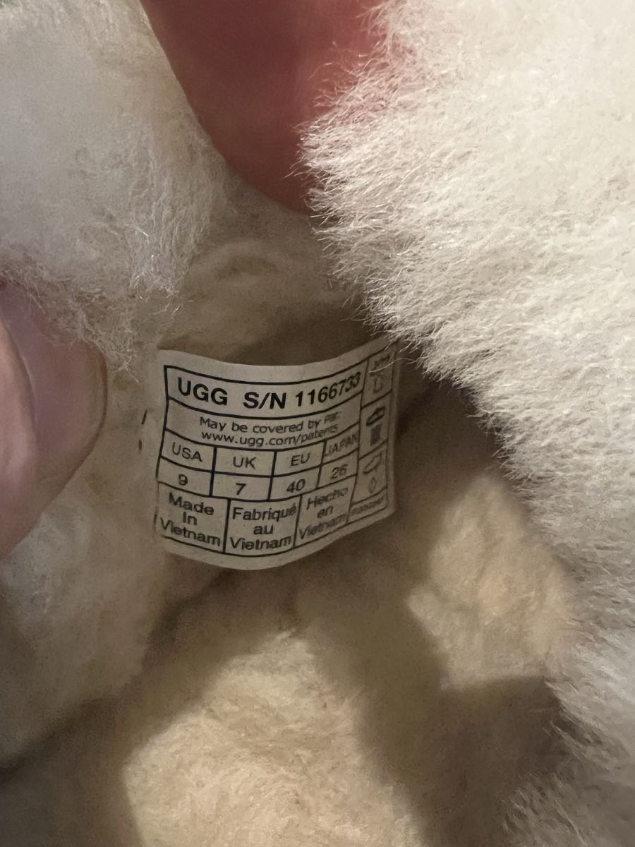 Ugg Scarpe da donna: UGG Plateau-Mules TAZZELLE gefüttert Grösse EU 40 – Nuovo (secondo la descrizione) da Horgen venduto da Ram78 7