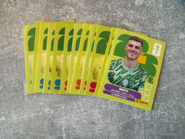 Panini BRA Bilder zum aussuchen Preis pro Bild