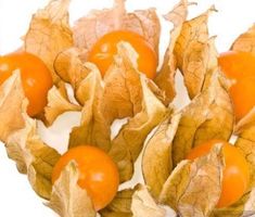 Ab 5.-fr ! ⚠️RARITÄT⚠️! 10 SAMEN LAMPIONPFLANZE ORANGEROT