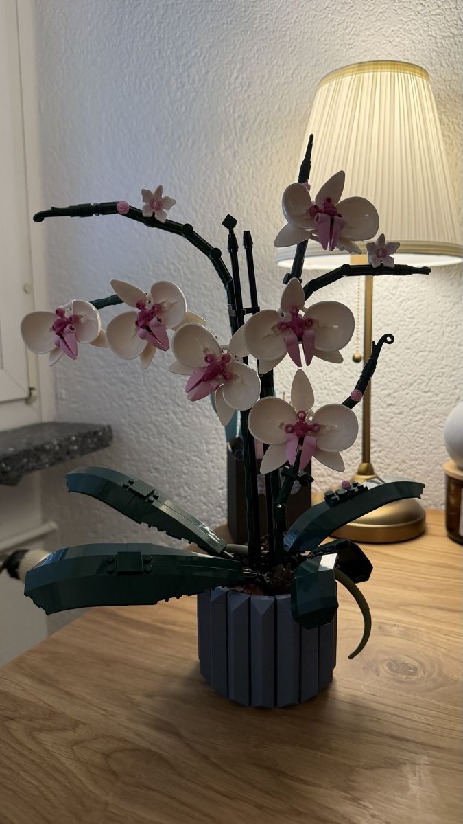 Lego Spielzeuge: Aufgebautes Lego set - Orchidee und Groot – Gebraucht aus St. Gallen von Lxra145 2
