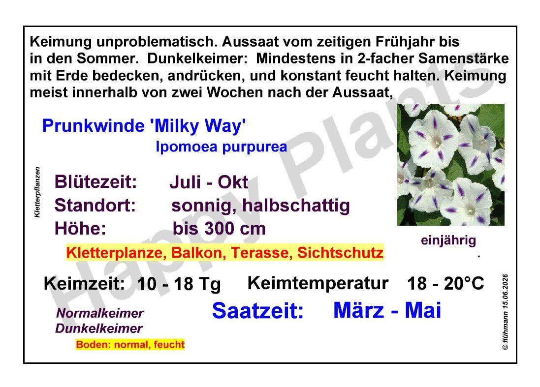 Piante & sementi: Prunkwinde 'Milky Way' - Ipomoea purpurea - 30 Samen – Nuovo e nell'imballaggio originale da Sumiswald venduto da Cham14559 4