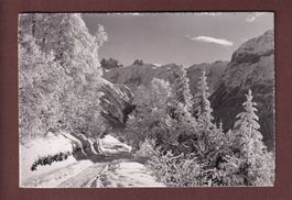 Am Weg nach SCHWAND - 1954