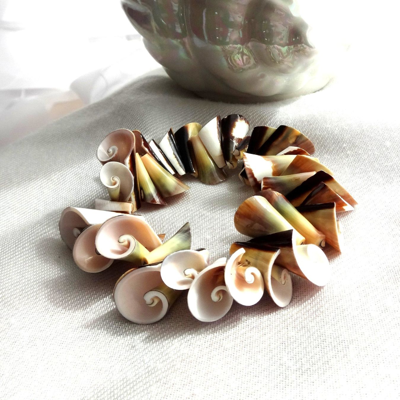 Bracciali & Braccialetti: Armband Muscheln NEU – Nuovo e nell'imballaggio originale da Dielsdorf venduto da kumsch