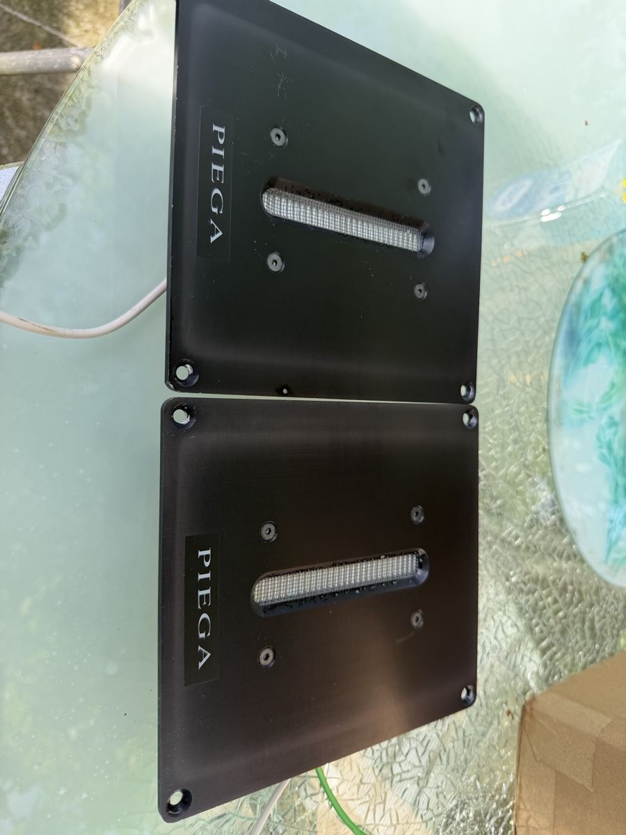 Piega Casse acustiche: 2 x Piega Hochtöner LDS 2.0  Top – Usato da Trimbach venduto da SABO-61 2