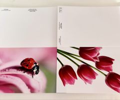 6x Grußkarten Natur-Motiv – FSC-Papier, klimaneutral