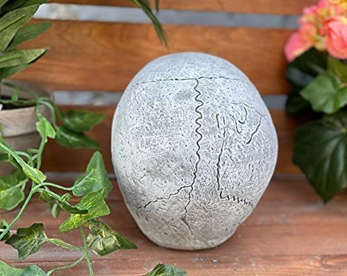 Skulpturen & Statuen: Gartenskulptur Gartenfigur Schädel crâne sculpture – Neu und originalverpackt aus Lopagno von CLep 5