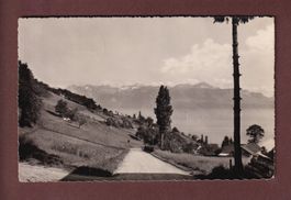 Vue du signal de GRANDVAUX - 1951