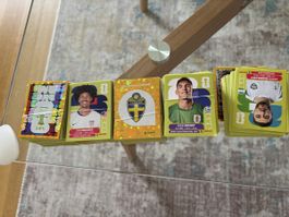 Panini Wm 2026 über 900 Bilder!