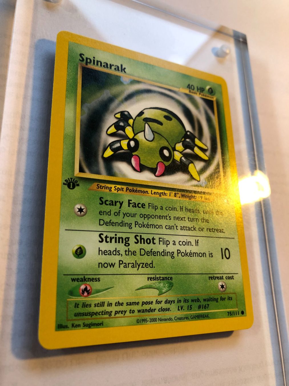 Carte collezionabili: Spinarak 1st Neo Genesis - MINT - ab 1.- – Usato da Giubiasco venduto da dan_pr8b 1