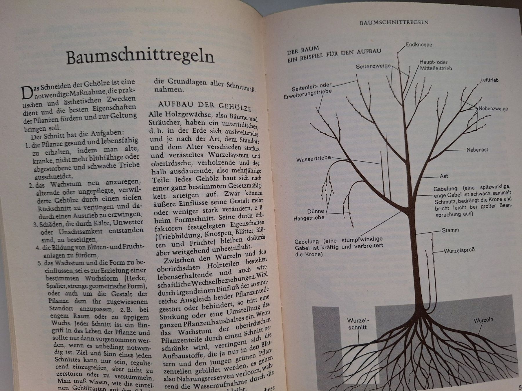 Bücher: Das grosse Reader's Digest Gartenbuch, 3 Bände, 1965! Top... – Gebraucht aus Zürich von t24_de 3