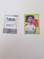 Panini Sticker HAI17
