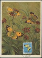 1950 - Pro Juventute - Maximumkarte MK - Ersttag Stempel ET