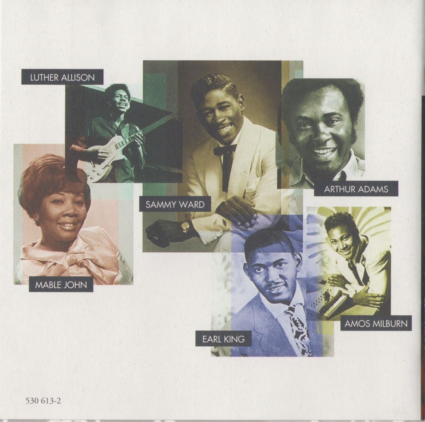 CD: BLUE EVOLUTION - LUTHER ALLISON, SAMMY WARD, EARL KING, ... – Usato da Lausanne venduto da sbar224 2