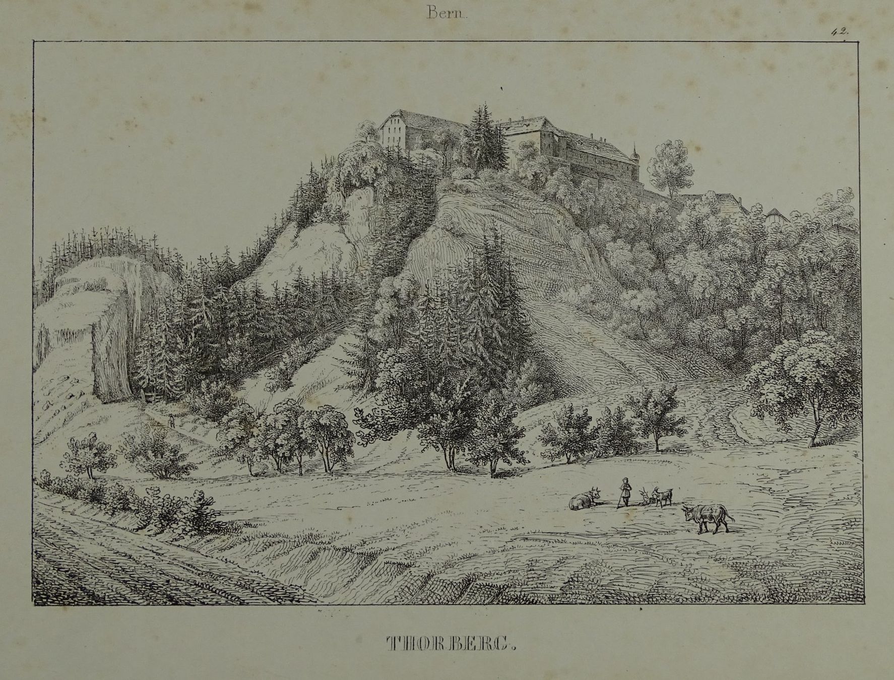 Stiche: THORBERG, BERN, FEDERLITHOGRAPHIE 1840 – Gebraucht aus Grüningen von Kartensammler 1