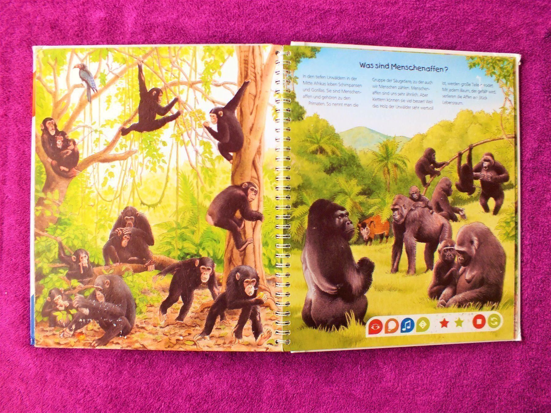 Libri: tiptoi Buch - Endecke die Tiere Afrikas – Usato da Müllheim Dorf venduto da Seeeule01 7