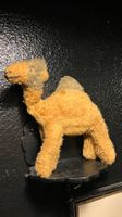 Peluche ancienne Kamel Dromadaire Steiff (?)