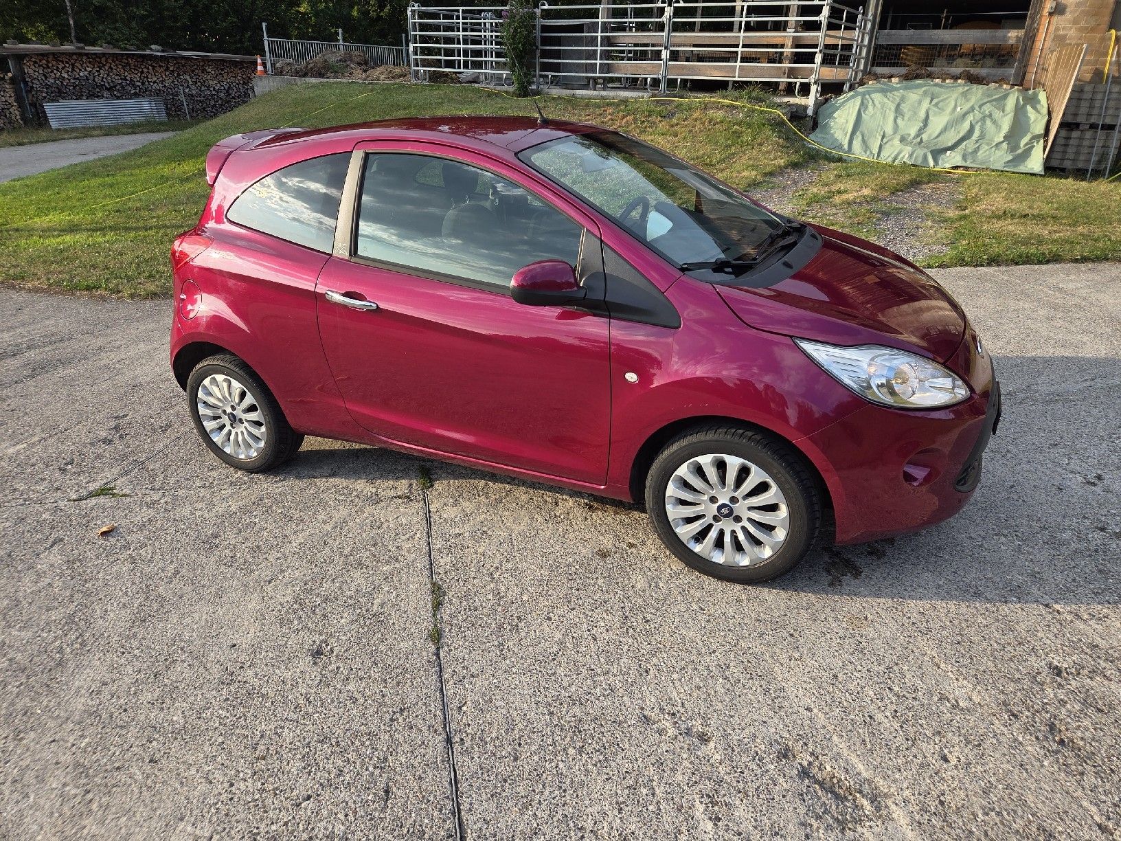 Ford Autos: Ford Ka – Gebraucht aus Walchwil von hur_9r5g 1
