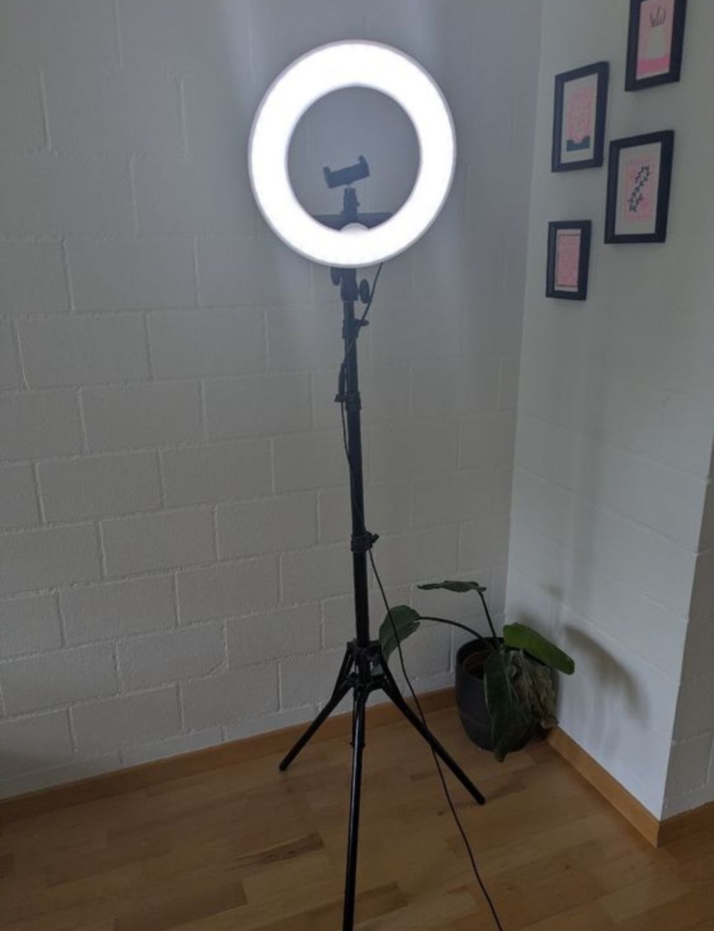 Lampen: Neewer Ringlicht mit Stativ - Top Zustand! – Gebraucht aus Rietheim von vla_y88j 2